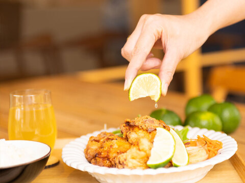 家庭用（訳あり品）ジャバラ10kg 和歌山 355-4