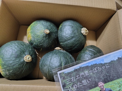 【訳あり】ホクホクがたまらない♪三右エ門栗かぼちゃ 5㎏【化学肥料不使用】