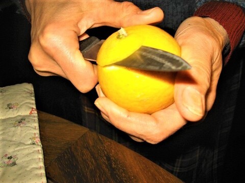 朝採りの”グレープフルーツホワイト”と”はるひ”合わせて3kg　皮も美味しい【柑橘食べ比べ】