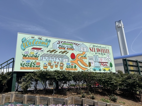 芳醇な香り！贅沢な味わいのドライイチゴ（20g×3パック）