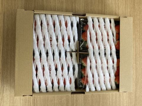 香り豊か！有機いちご「あまおとめ」1kg