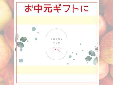 【夏ギフト】青森県産リンゴづくしセット