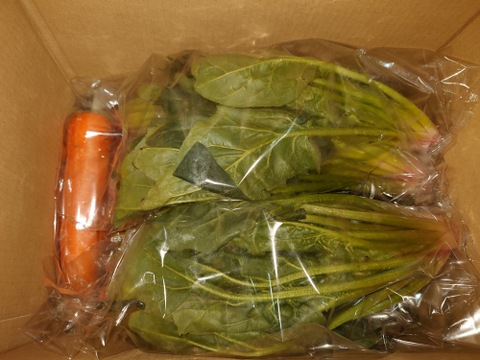 冬の本気！ギュッと濃い味肉厚ほうれん草（200ℊﾊﾟｯｸ×１０Ｐ）