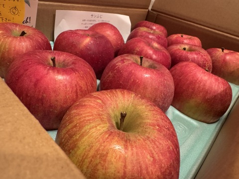 【冬ギフト】サンふじ 5kg 13~14玉