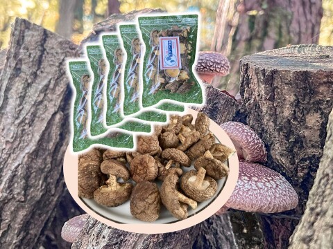 うまさ凝縮！熊本県産原木乾燥しいたけ３５０ｇ（70ｇ×５袋）