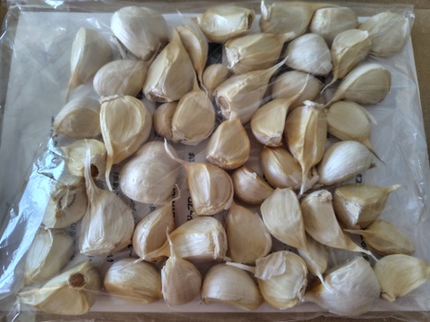 青森にんにく　訳ありバラ500g お得　ホワイト六片 家庭用