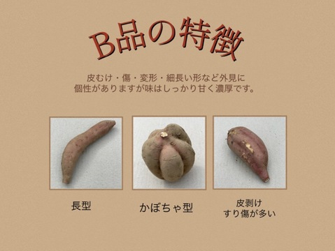 種子島産 安納芋 B品（M〜Lサイズ）5kg｜甘くて濃厚🍠｜aimo農園直送