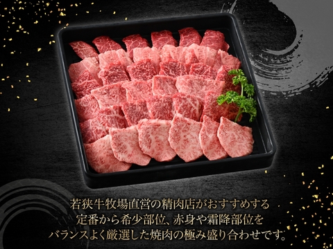 【牧場オーナー厳選】極旨 若狭牛食べ比べ 霜降りと赤身の贅沢極み焼肉盛り合わせ 600g （2-3人前）