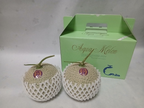 即出荷『冬のアールスメロン』2個入り