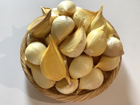 【自然農ジャンボニンニク】令和7年度産 1Kg、自然の恵100%、無施肥・農薬不使用