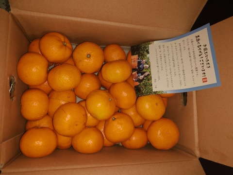 【食べチョクで１番売れてるみかんです！】夕やけみかん（3㎏）×２箱　小玉（圧倒的人気のみかんです！）