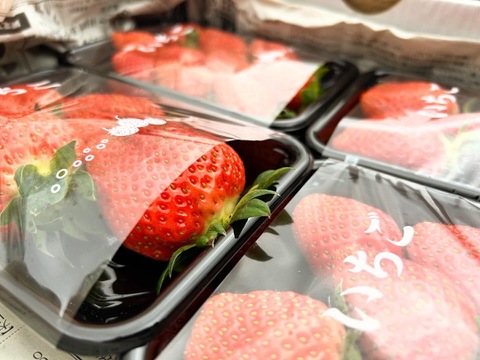 🍓甘い朝採れイチゴ🍓家族の笑顔があふれるイチゴ（200g×4パック）