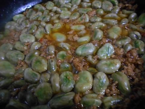 春の味覚たっぷり！指宿産そらまめ『いぶすき陵西』（ご家庭用・5kg）