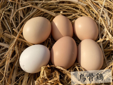 ＜5ぶ 精米＞卵かけご飯セット ［特別栽培米「ヒノヒカリ」1㎏＋烏骨鶏 6個］【令和5年米】223EGG