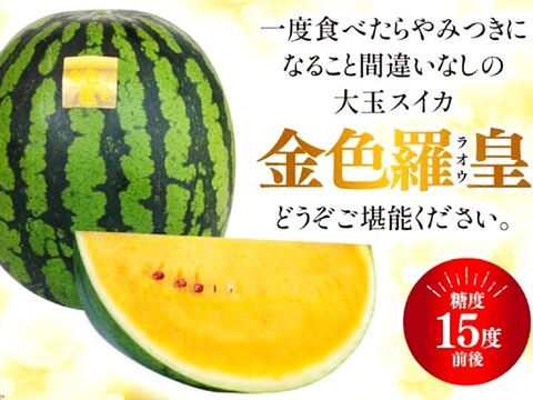 予約受付】尾花沢すいか『金色羅王』Lサイズx2玉 糖度15度以上