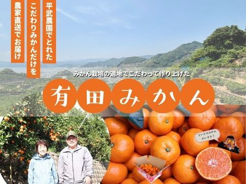 【冬ギフト】農家直送！有田みかん7.5kg≪無選別（秀品・訳あり品・サイズ混合）≫【平武農園】～蛍飛ぶ町から旬の便り～　和歌山｜有田｜田口｜ギフト｜こだわり　産地直送　お取り寄せ