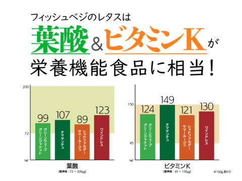 【北海道産ビーツ使用】ど発酵ビーツドレッシングとミックスレタスのセット