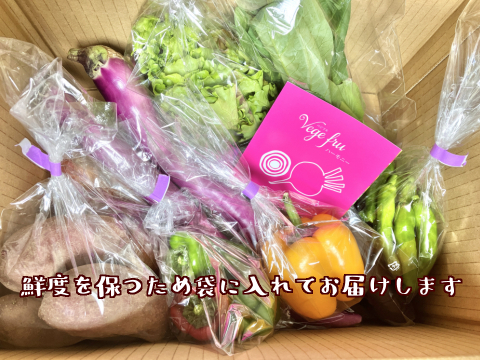 【少量多品目！】野菜ソムリエの新鮮旬野菜セット（７点～）