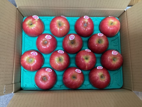 年内発送します🍎 ピンクレディ®︎3キロ箱  長野県 信州 安曇野 リンゴ 幻 幻のリンゴ 予約 希少 旬 6玉〜16玉サイズ 商品ID42100 ピンクレディー