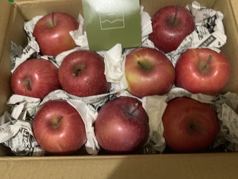 【すぐ出荷OK】サンふじ　家庭用　約1.8キロ　極小玉・葉とらず【JA基準より60％減の低農薬栽培】