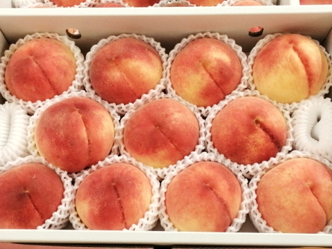 【７月下旬から収穫・発送】の固い桃「なつっこ」約3kg・9～12玉１箱山梨県南アルプス上宮地産