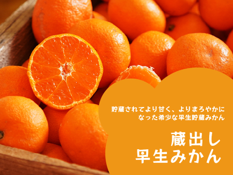 蔵出しみかん早生5kg｜和歌山県海南市下津町の特産品、蔵出しみかんの希少な早生品種