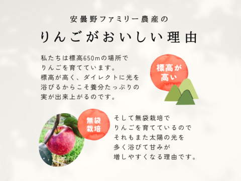 訳あり おぜの紅  5キロ箱商品 ID36253長野県 信州 安曇野 リンゴ 幻 幻のリンゴ 予約 希少 旬