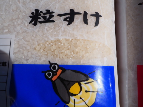 千葉米おすすめ食べ比べセット　粒すけ　ふさおとめ　無洗米　10kg