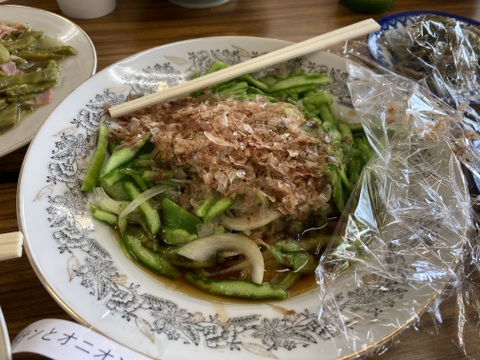 食用サボテン（500ｇ）とサボテンピクルス（130ｇ）のセット