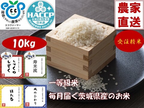 【定期購入】茨城県産のお米10kg（出荷日午前精米）