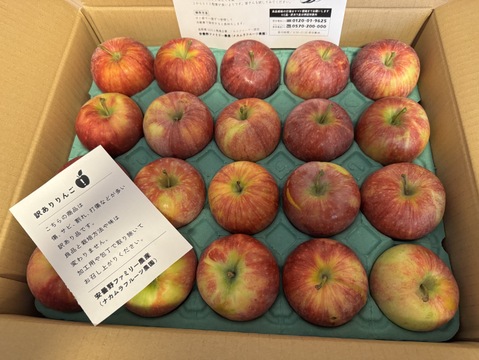 シナノリップ5キロ箱 訳あり品商品ID62461 長野県 信州 安曇野 リンゴ 幻 幻のリンゴ 予約 希少 旬