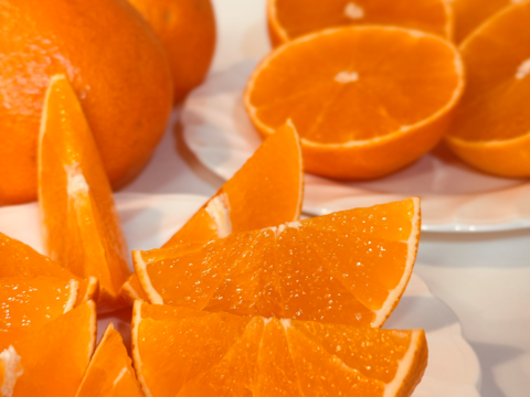 【旬は一瞬】福まどんな 1kg+福みかん 1kg《ご家庭用》｜サイズ混合｜愛媛・西宇和産