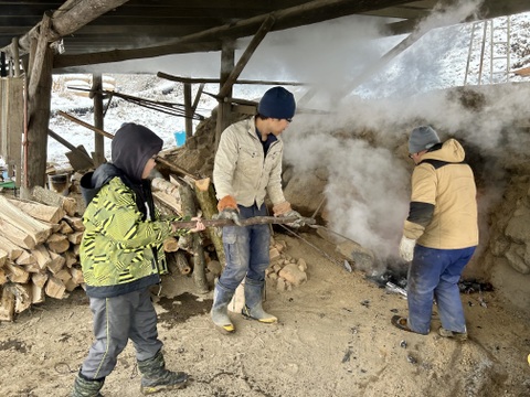 【有機ＪＡＳ】規格外ズッキーニ４ｋｇ農薬・化学肥料不使用　信州産