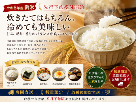 【令和8年産 新米・先行予約】丹波篠山産 コシヒカリ 10kg 2026年産・農園直送 ご家庭用 新米 特 コシヒカリ こしひかり 10㎏ 数量限定 お米 米