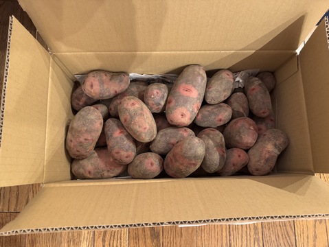 【ベジLIFE!!おススメ】☆レアじゃが☆グランドペチカ5㎏