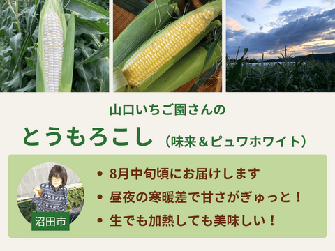 【限定30セット】旬をまるかじり！群馬 夏野菜のとれたて便（食べチョク公式）