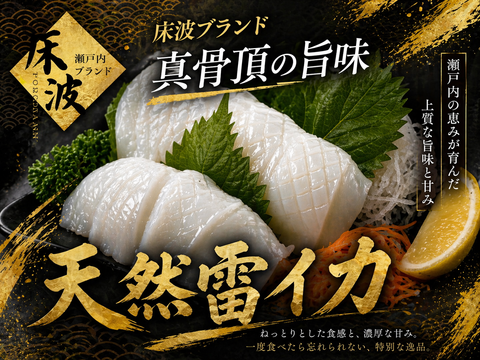 【全国のイカ好きマニア注目】選び抜かれた天然国産『雷イカ』長州床波ブランド大容量パッケージお刺身用約400g【6月上旬予約】