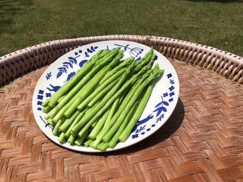 お子様にも大人気！　『スナックアスパラガス』　700g