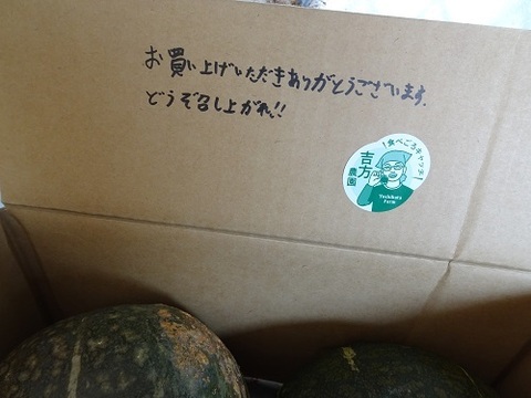 【北海道産】甘くてホクホクな南瓜　4キロ