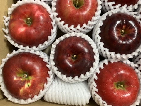 懐かしの味】青森県産りんご 「紅玉」家庭用 キズ有 約8kg(4kg×2箱