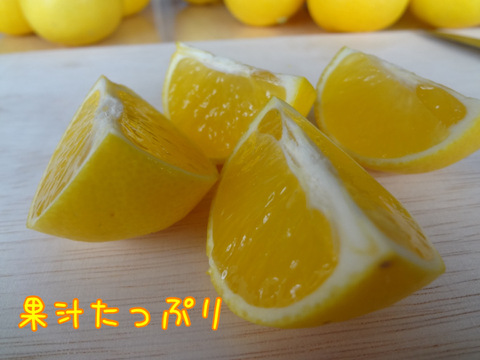 爽やかな香り〜♪ 黄金柑（ゴールデンオレンジ）たっぷりお得な3kg