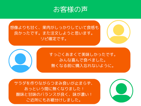 【リピート率97％！】離島育ちの甘いミディトマト『あま壱岐』1kg　アイメック農法と豊かな自然で育まれた自慢のトマトをぜひお試しください！地元スーパーの大人気商品です