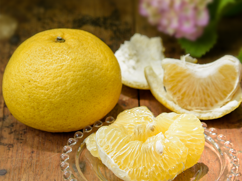 【5月中旬より発送予定】爽やかで夏らしい味わい　夏みかん【家庭用(訳あり)】5kg 318-3