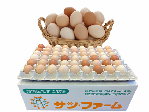 超稀少な初たまごSSサイズ108個入り（破損補償10個含む）【ひなたまこっこ 美味しい 卵焼き たまごかけごはん 卵 九州 送料無料 九州産 熊本産 新鮮】