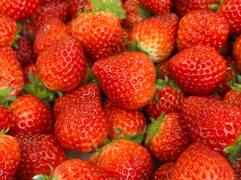 【たっぷり使える】訳ありよつぼし１kg｜ジャム・スムージー加工用に