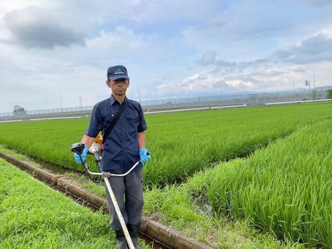 【ルシファー】秋田県産 米 10キロ 農家直送 令和5年産 NHKで紹介】【令和7年新米】ヒラヤマファームの米（10kg）：千葉