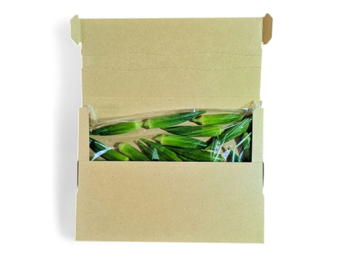 【翌日着可能地域限定】オクラ 300g ネコポス発送(送料全国一律)