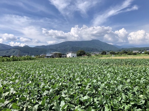 なにもいれない自然栽培野菜６品