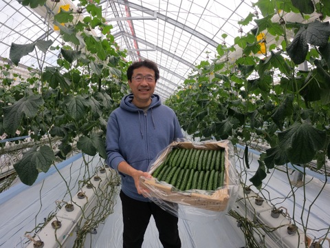 【ご飯のお供に！】タクシー会社が本気で作った「パリポリきゅうりの佃煮」