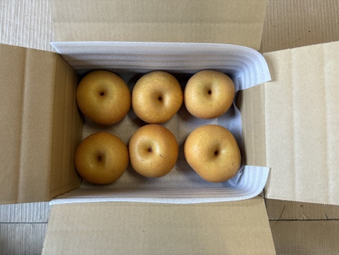 【完熟収穫】富山県産幸水梨（徳用・ご家庭用1.8kg）